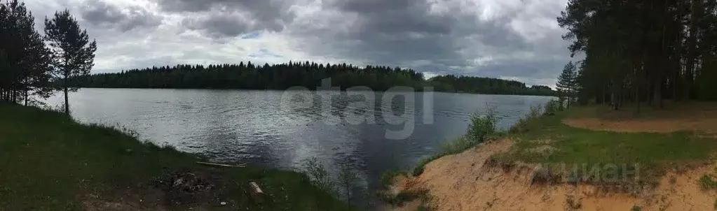 Участок в Вологодская область, Устюженский район, д. Глины  (24.94 ... - Фото 1