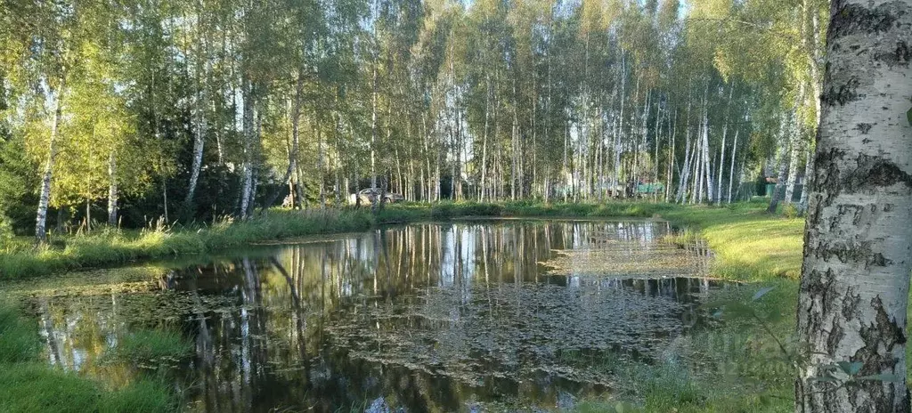 Дача, 50 м - Фото 1