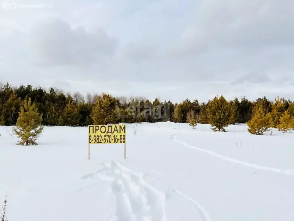 Участок в Нижнетавдинский район, село Тандашково (15.27 м) - Фото 1