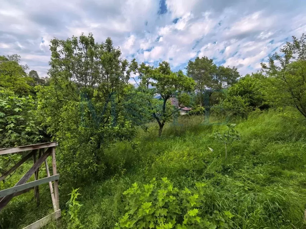 Участок в Краснодарский край, Сочи Нижняя Хобза мкр, ул. ... - Фото 1