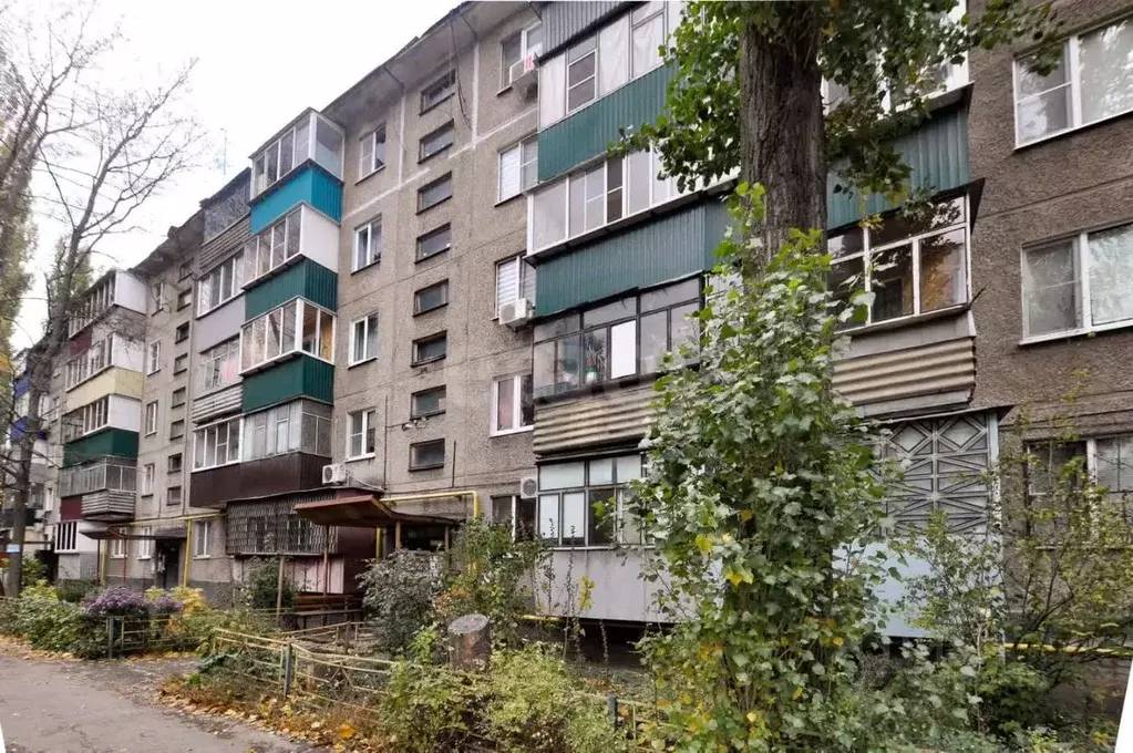 3-к кв. Липецкая область, Липецк ул. П.А. Папина, 31 (61.7 м) - Фото 1