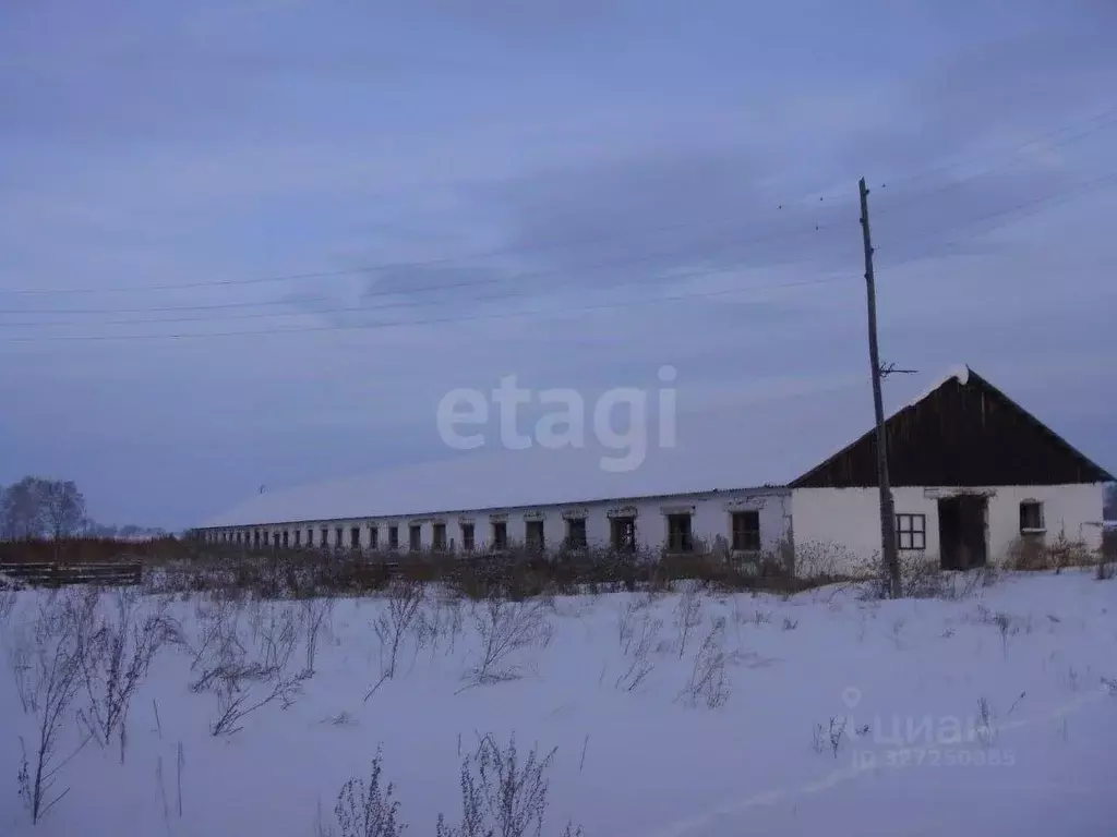 Склад в Курганская область, Шатровский муниципальный округ, д. Ударник ... - Фото 1