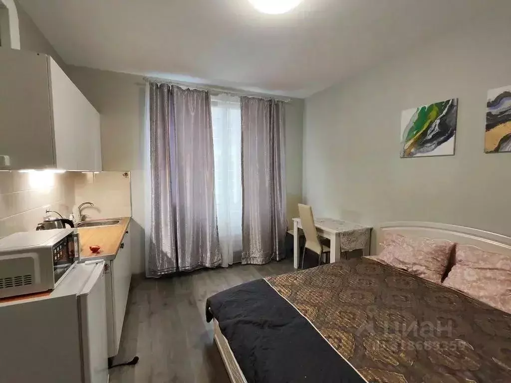 1-к кв. Санкт-Петербург Витебский просп., 99к1 (22.0 м) - Фото 1