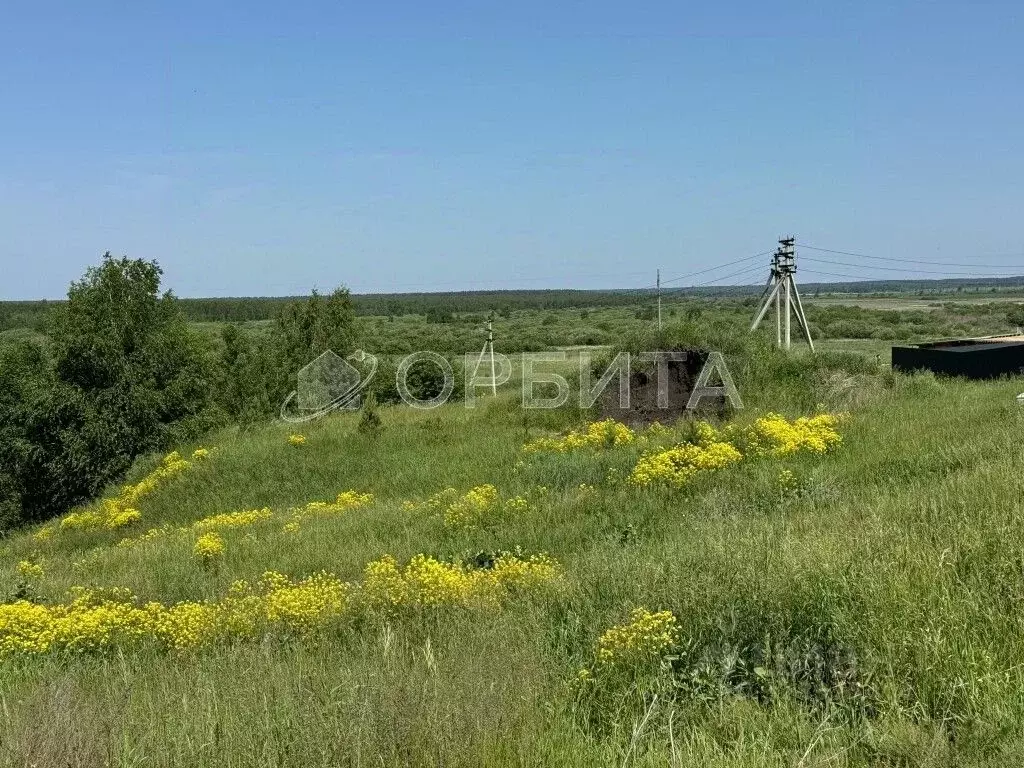 Участок в Тюменская область, Тюменский район, с. Кулаково  (10.2 сот.) - Фото 0
