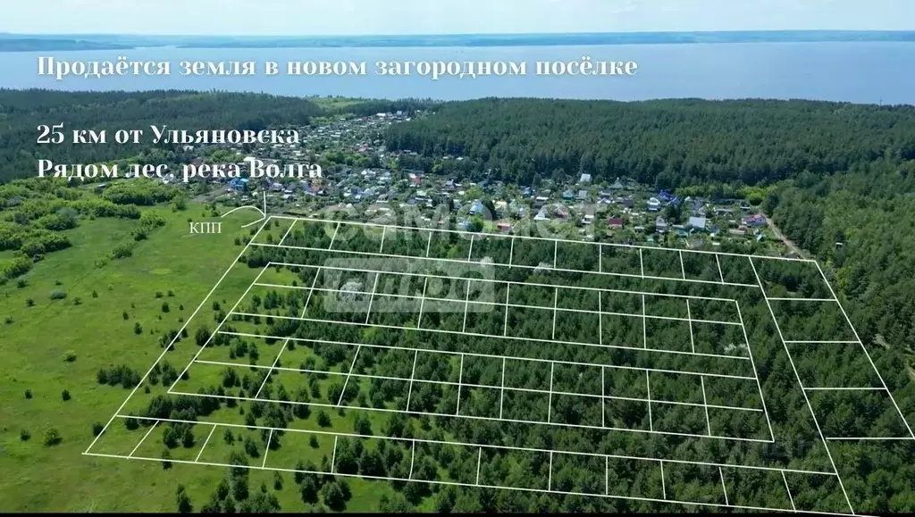 Участок в Ульяновская область, Чердаклинский район, ... - Фото 0