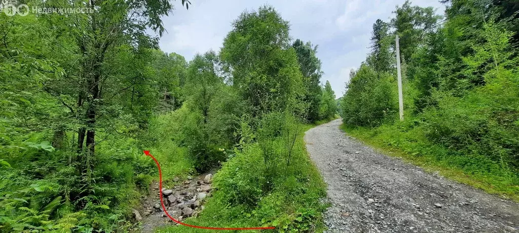 Участок в село Артыбаш, Змеиная улица (219 м) - Фото 1