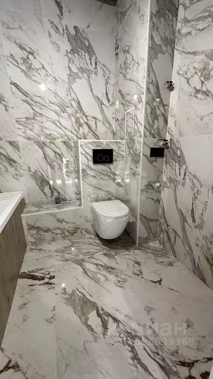 Студия Амурская область, Благовещенский район, с. Чигири ул. ... - Фото 2