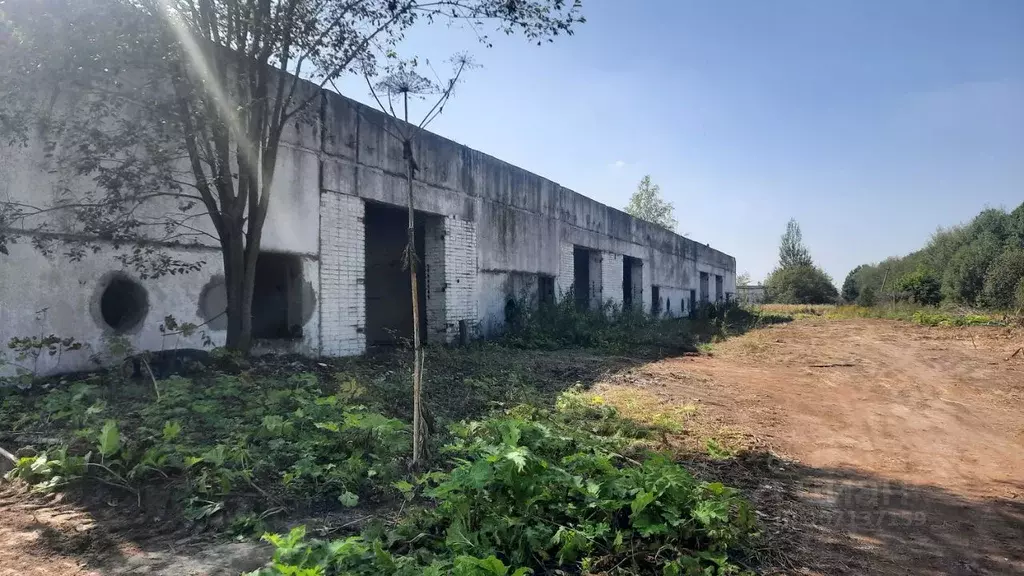 Склад в Тульская область, Тула городской округ, д. Хопилово ул. ... - Фото 0