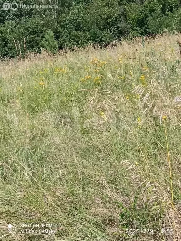 Участок в Саранск, СНТ Зелёный Друг (4.56 м) - Фото 1