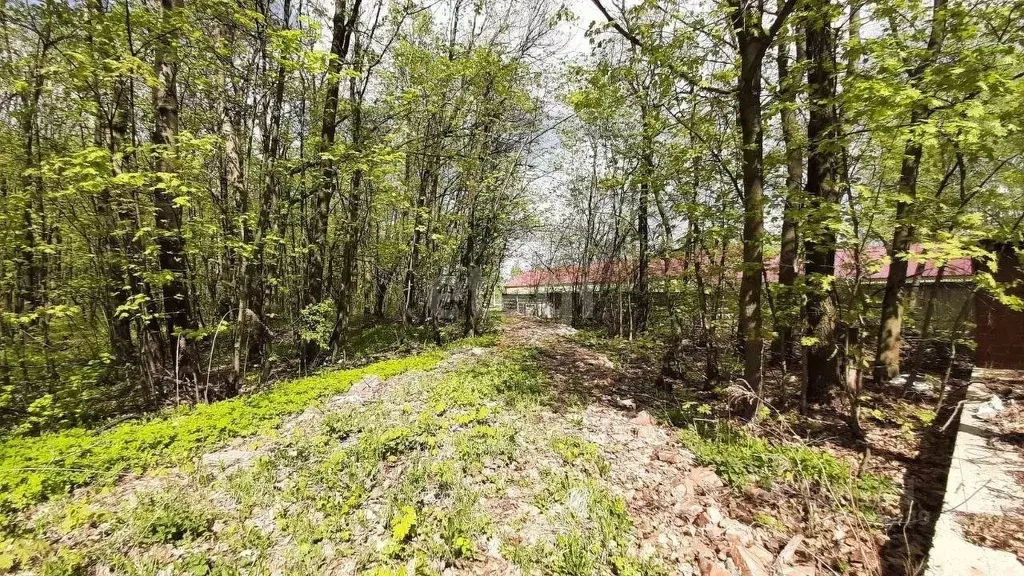Участок в Мордовия, Саранск ул. Лодыгина (7.6 сот.) - Фото 0