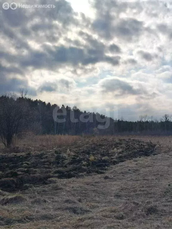Участок в Бийский район, посёлок Семеновод, Школьная улица (12.5 м) - Фото 2