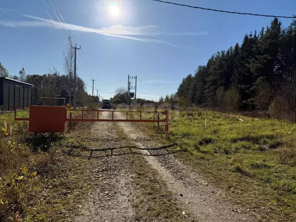 Участок в Ленинградская область, Ломоносовский район, Лопухинское ... - Фото 1