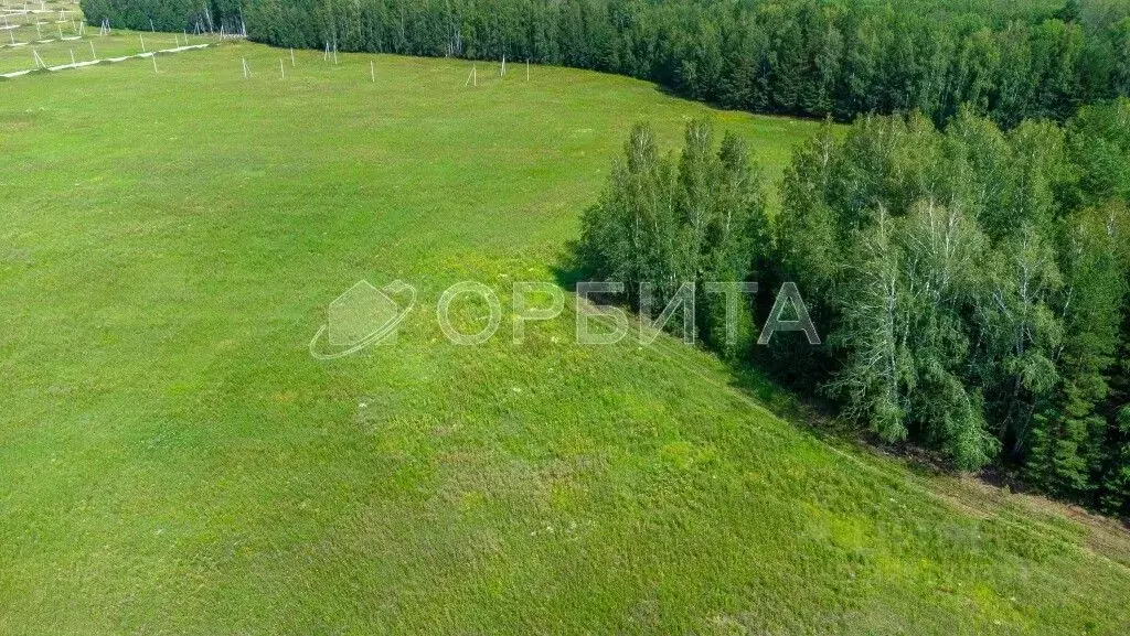 Участок в Тюменская область, Тюменский район, с. Кулига Заречная ул. ... - Фото 1