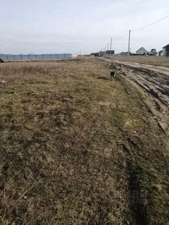 Участок в Нижегородская область, с. Дивеево ул. Заречная (6.0 сот.) - Фото 1