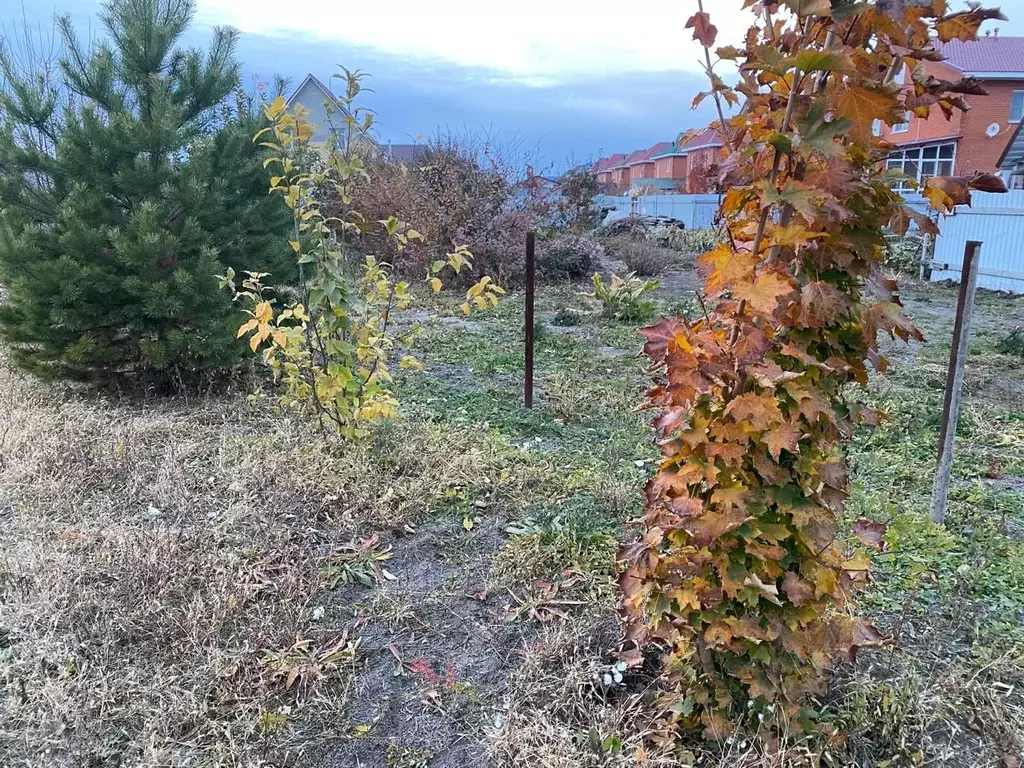 Участок в Алтайский край, Барнаул городской округ, пос. Центральный ... - Фото 1