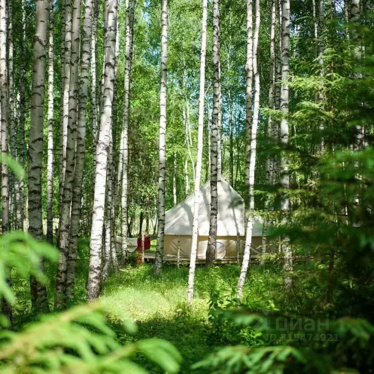 Дом в Нижегородская область, Сокольский муниципальный округ, д. ... - Фото 1