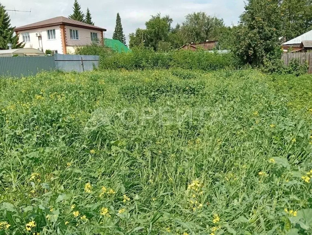 Участок в Тюменская область, Тюмень ул. Дружбы, 29 (12.0 сот.) - Фото 1