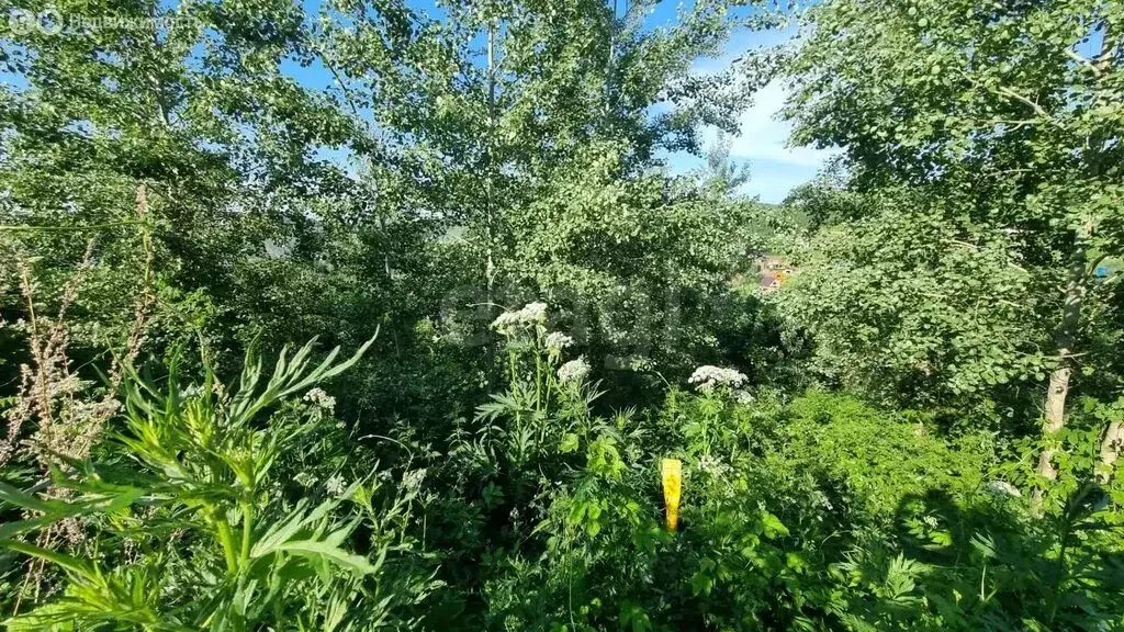 Участок в село Кызыл-Озек, Вахтинская улица (10 м) - Фото 2