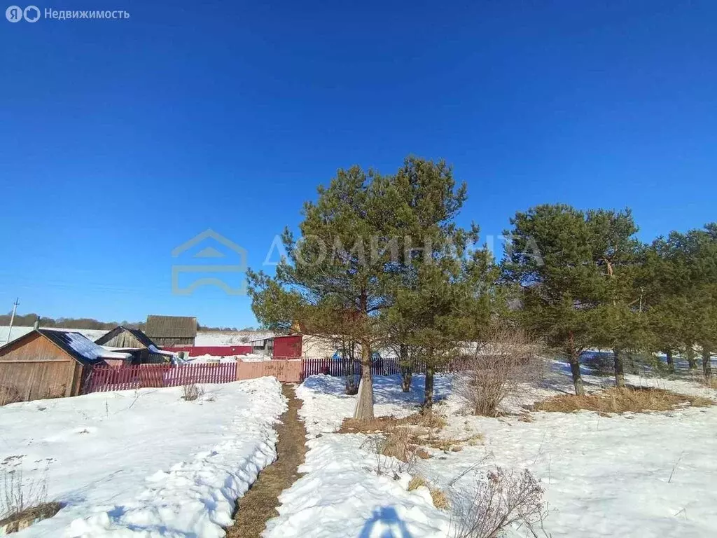 Дом в Смоленская область, Кардымовский муниципальный округ, деревня ... - Фото 2