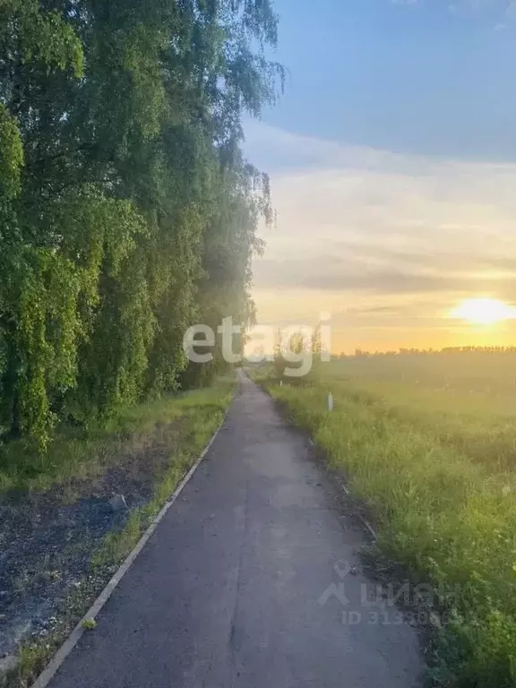 Участок в Липецкая область, Липецкий муниципальный округ, с. Ленино  ... - Фото 1