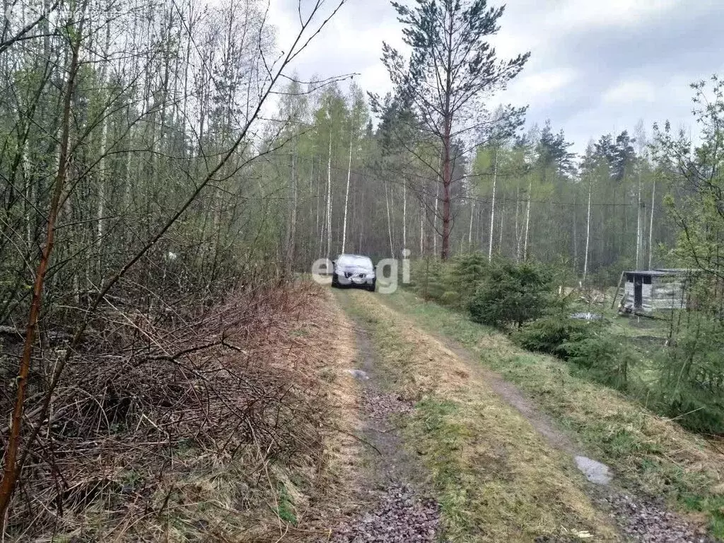 Участок в Ларионовское сельское поселение, СНТ Карелия-Бойцово (10 м) - Фото 0