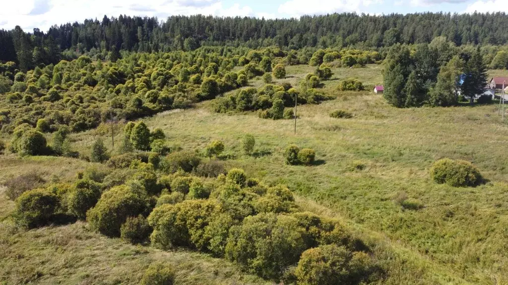 Участок в Карелия, Лахденпохский муниципальный округ, пос. Отсанлахти  ... - Фото 1