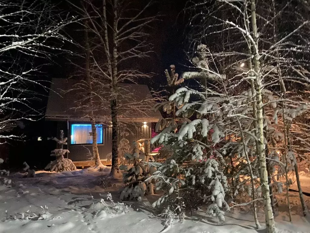 Дом в Ленинградская область, Тосненский район, Форносовское городское ... - Фото 2