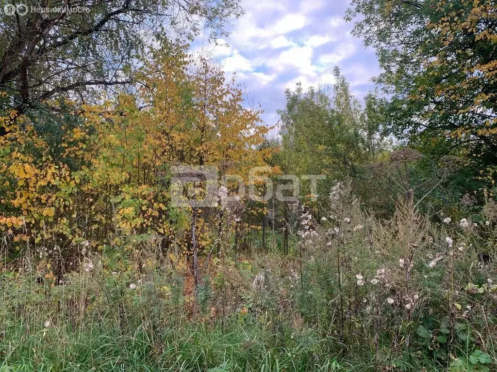 Участок в Ивановский район, Балахонковское сельское поселение, деревня ... - Фото 1