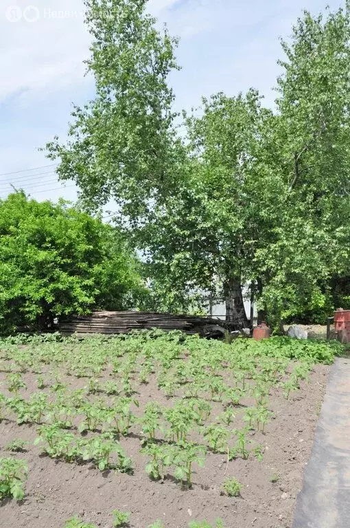 Участок в Хабаровск, улица Полины Осипенко, 48 (6.35 м) - Фото 0