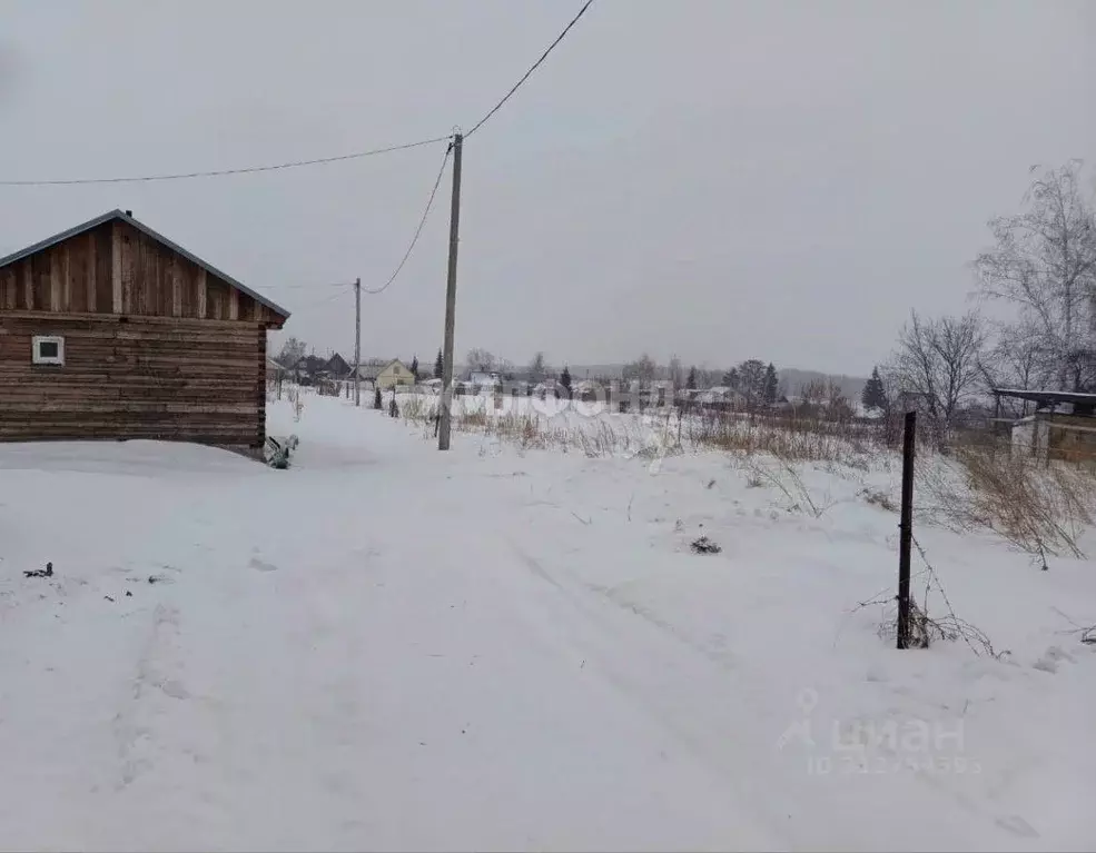 Участок в Алтайский край, Барнаул городской округ, Поселок Казенная ... - Фото 0