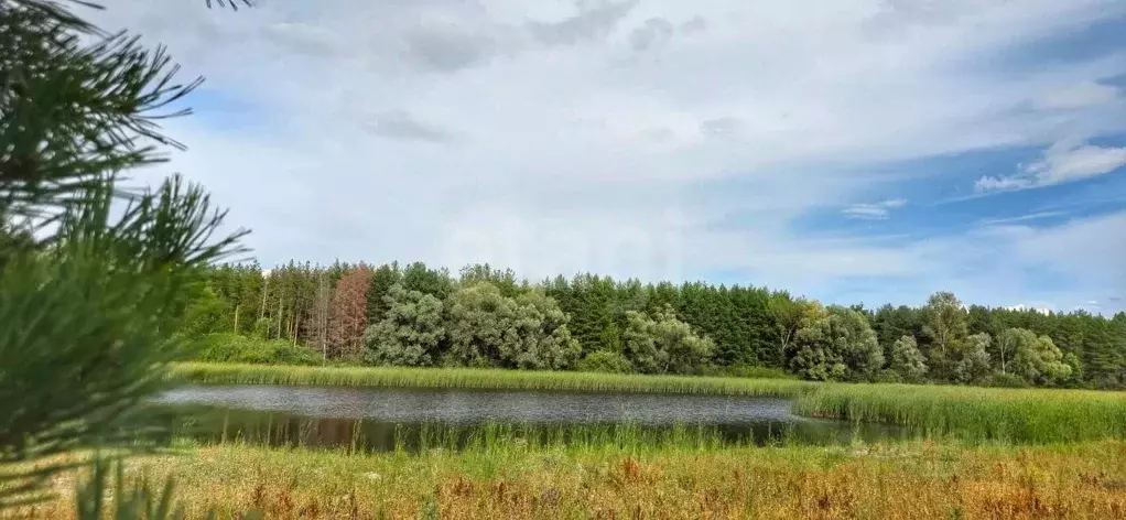 Участок в Татарстан, Лаишевский район, Нармонское с/пос, 220503 кв-л  ... - Фото 1