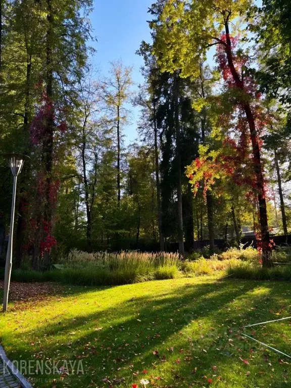 Участок в Московская область, Красногорск городской округ, с. ... - Фото 2