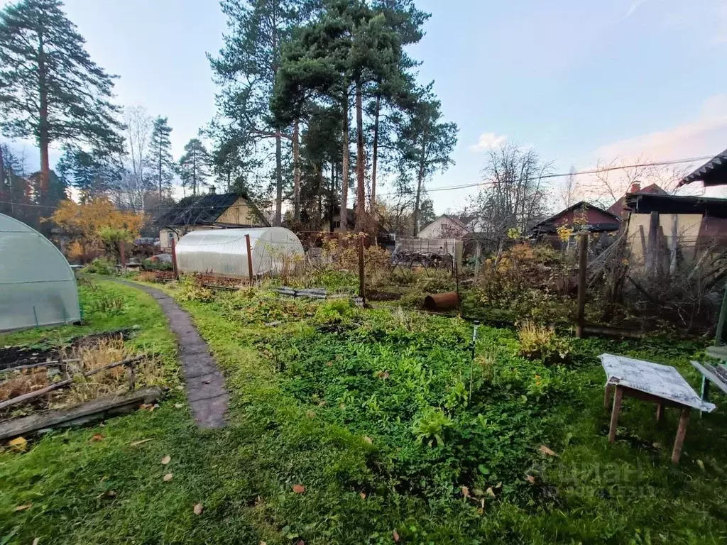 Участок в Ленинградская область, Гатчинский район, Вырица городской ... - Фото 0