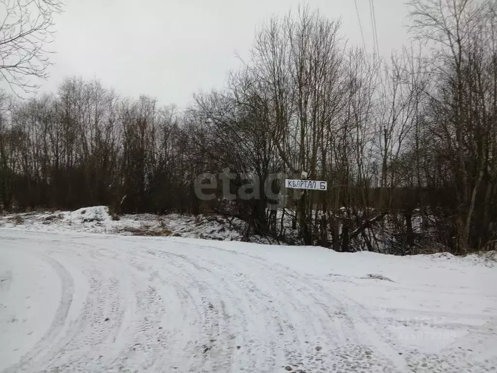 Участок в Ленинградская область, Волхов Шкурина Горка мкр,  (11.6 ... - Фото 1