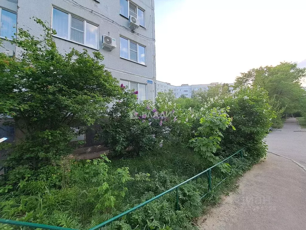 1-к кв. Воронежская область, Воронеж Шилово мкр, ул. Теплоэнергетиков, ... - Фото 1