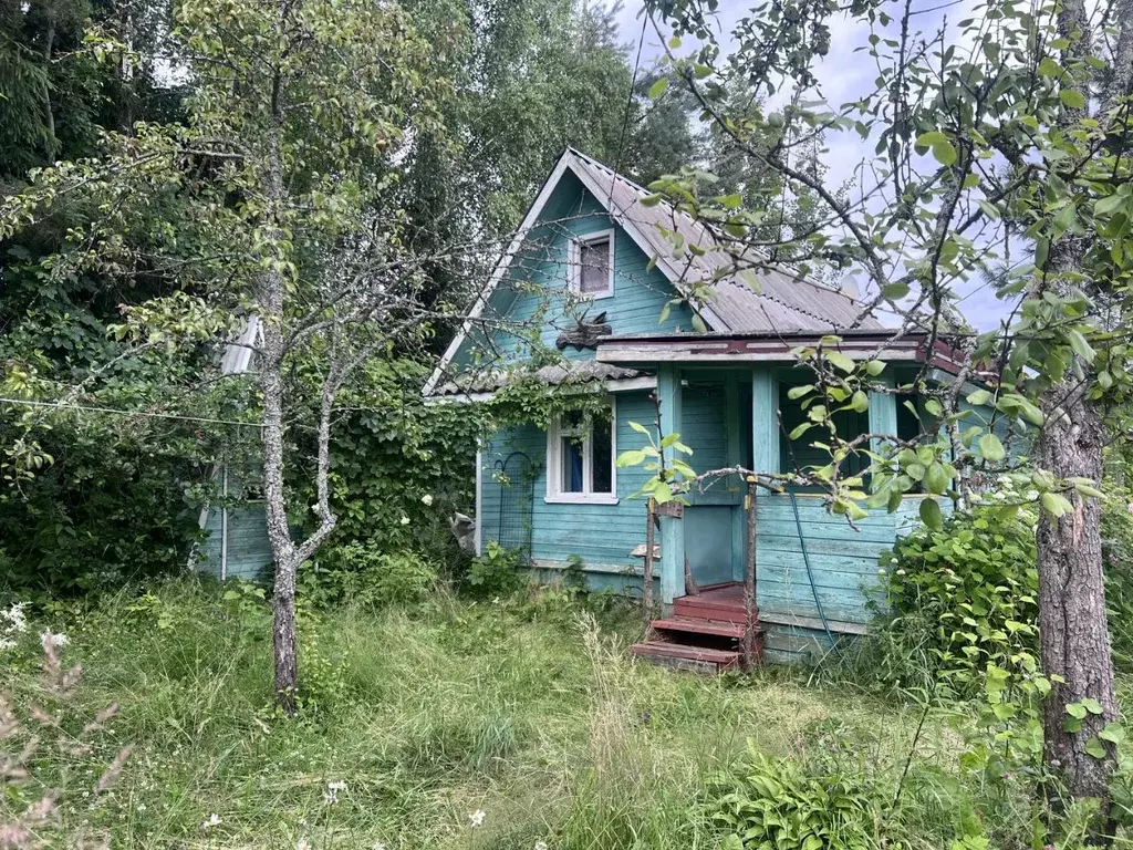 Дом в Ленинградская область, Гатчинский муниципальный округ, Новинка ... - Фото 1
