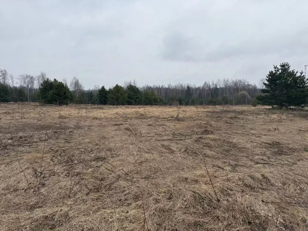Участок в Московская область, Орехово-Зуевский городской округ, д. ... - Фото 2