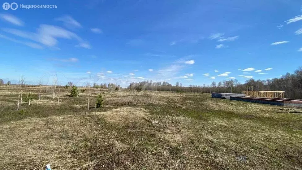 Участок в Ялуторовский район, село Киева (1 м) - Фото 0