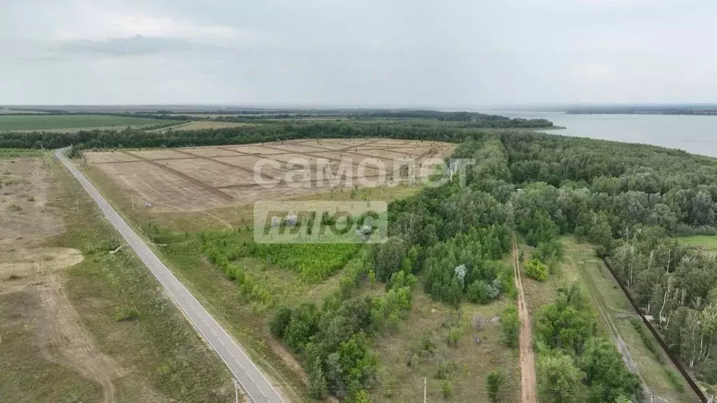 Участок в Оренбургская область, Илекский район, пос. Димитровский  ... - Фото 1