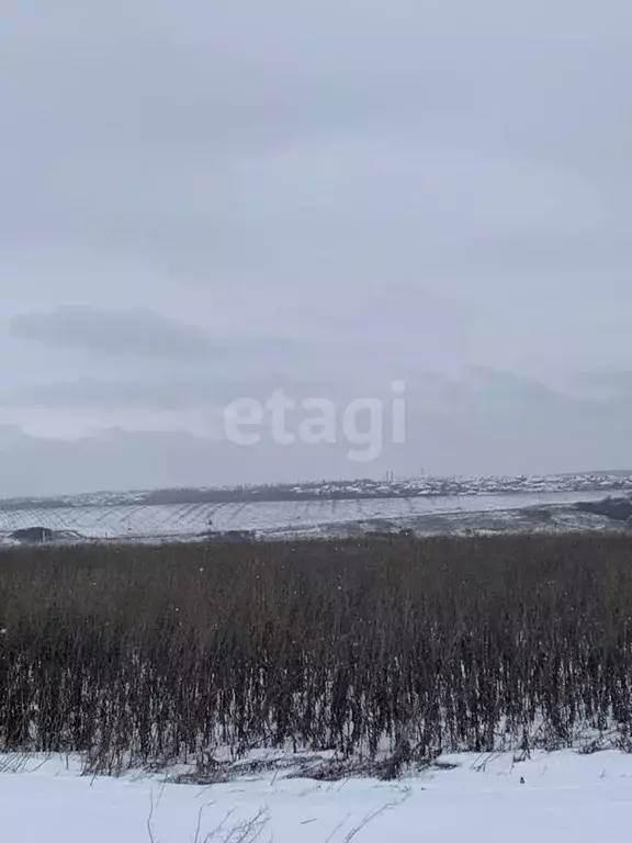 Участок в Белгородская область, Белгородский район, Головинское с/пос, ... - Фото 1