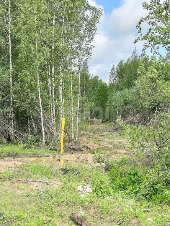 Участок в Ярославская область, Даниловский муниципальный округ, ... - Фото 0