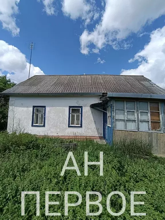 Дом в Рязанская область, Ряжск ул. Лапутина, 106 (35 м) - Фото 1
