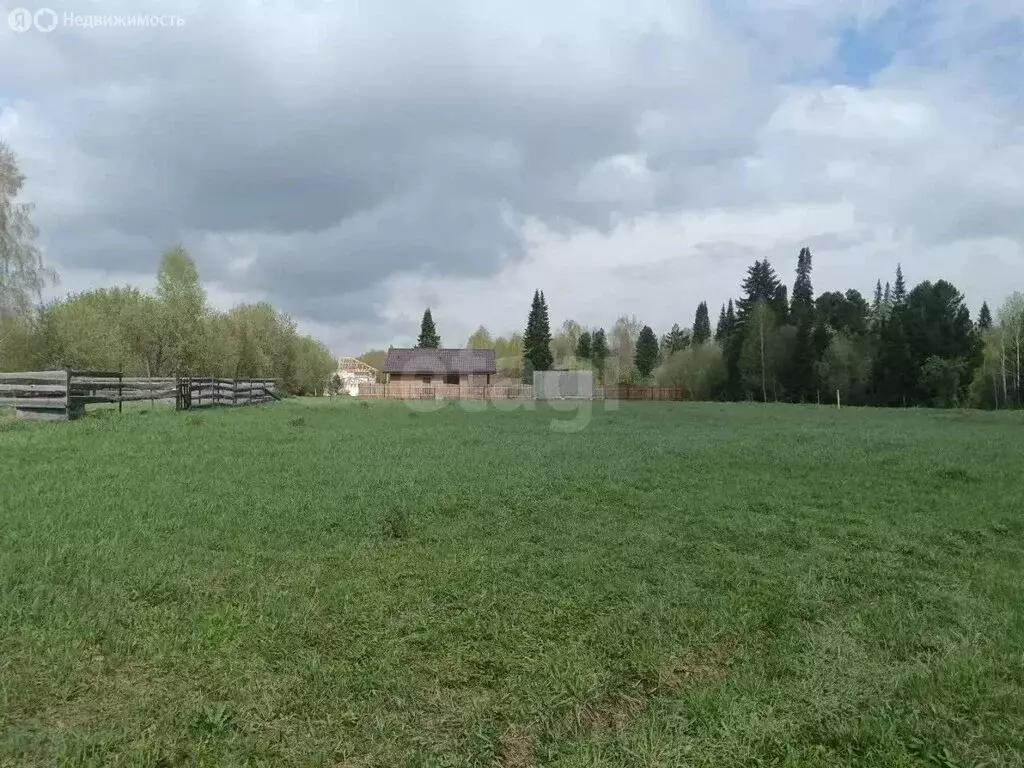 Участок в село Андреевка, Лесная улица (15 м) - Фото 1