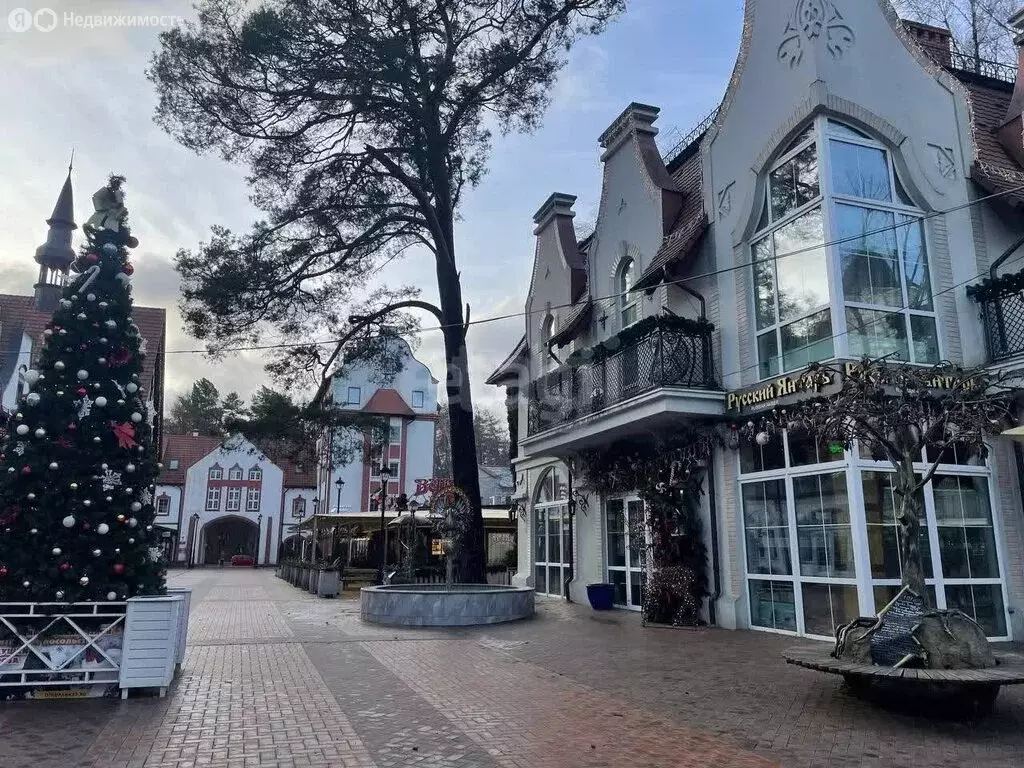 1-комнатная квартира: Светлогорск, Центральная площадь, 1к2 (29.5 м) - Фото 1