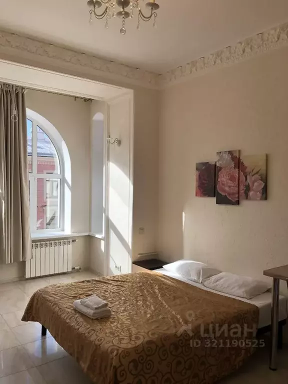 Студия Санкт-Петербург просп. Большой Петроградской стороны, 19 (36.0 ... - Фото 1