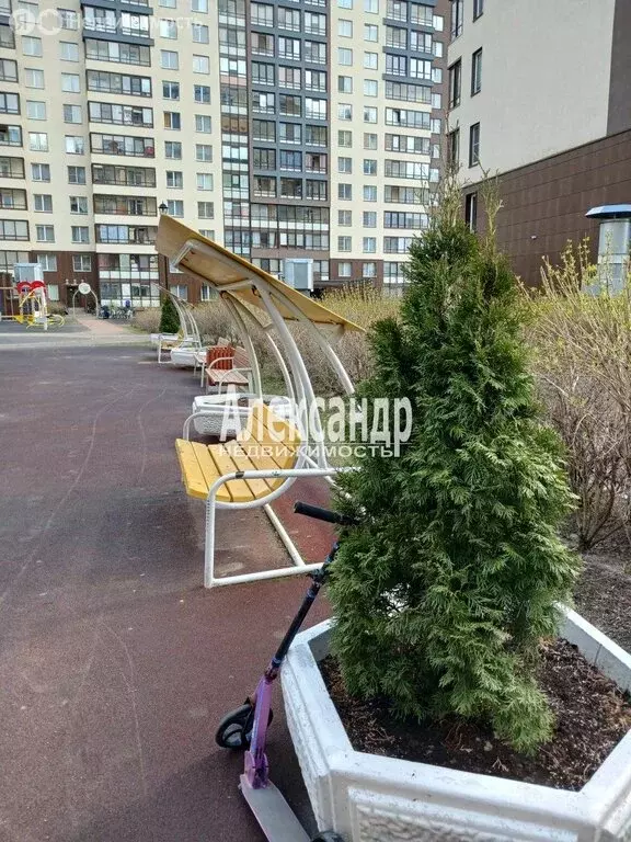 Квартира-студия: Санкт-Петербург, проспект Ветеранов, 169к1 (24.5 м) - Фото 1