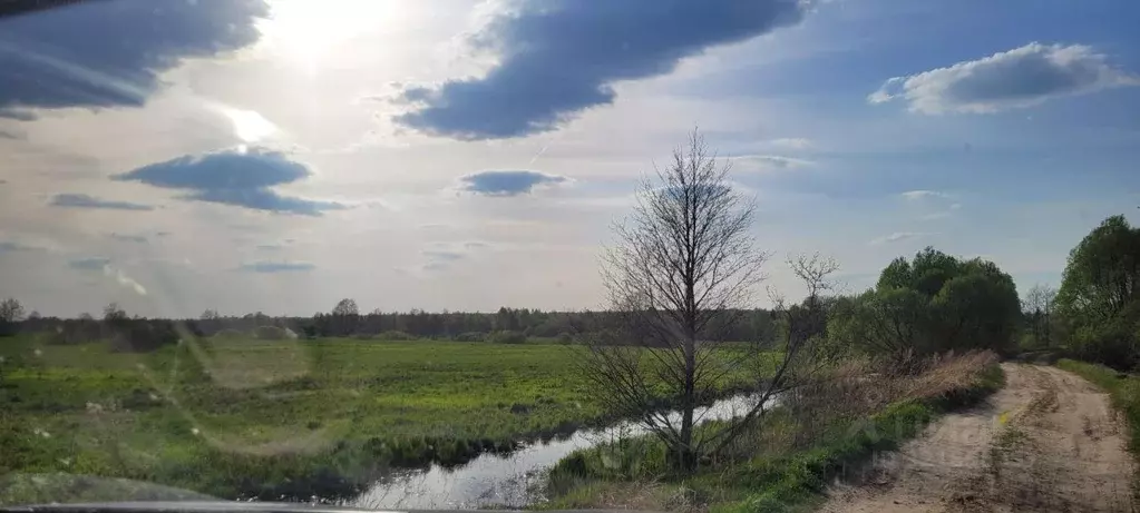 Участок в Владимирская область, Судогодский район, д. Овцыно  (38.0 ... - Фото 1