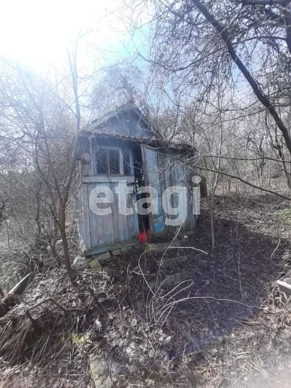 Дом в Брянская область, Брянский район, Нетьинское с/пос, Автозаводец ... - Фото 0