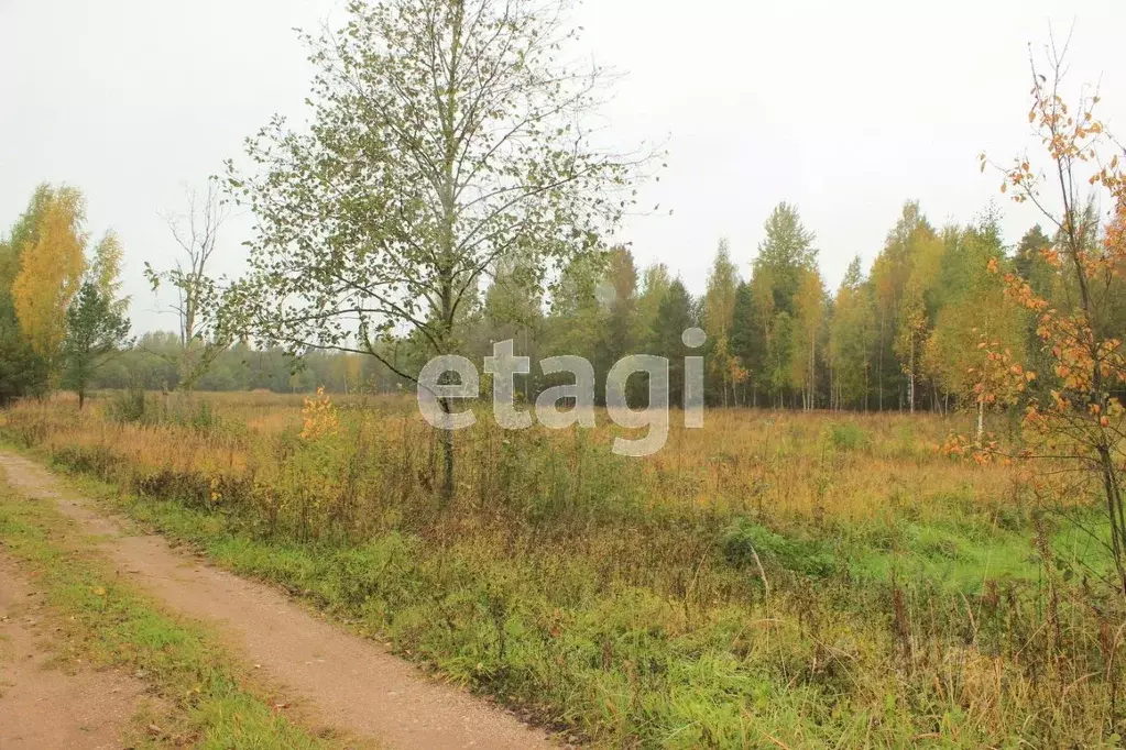 Участок в Новгородская область, Батецкий район, Мойкинское с/пос, ... - Фото 0