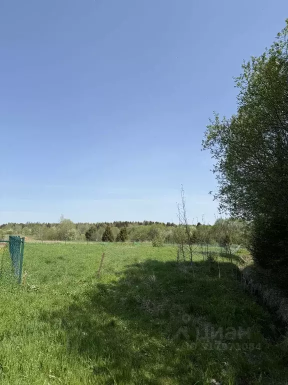 Участок в Вологодская область, д. Марково (Лесковский сельсовет)  (6.5 ... - Фото 1